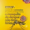 Notificação de dengue aumentando no município.